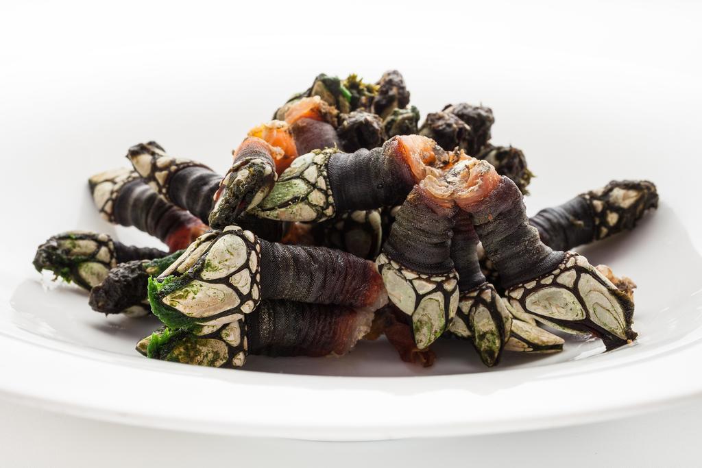 Oviñana Hotel Restaurante Cabo Vidio מראה חיצוני תמונה